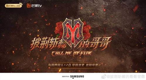 披荆斩棘最新爆料,揭秘幕后故事与精彩瞬间！